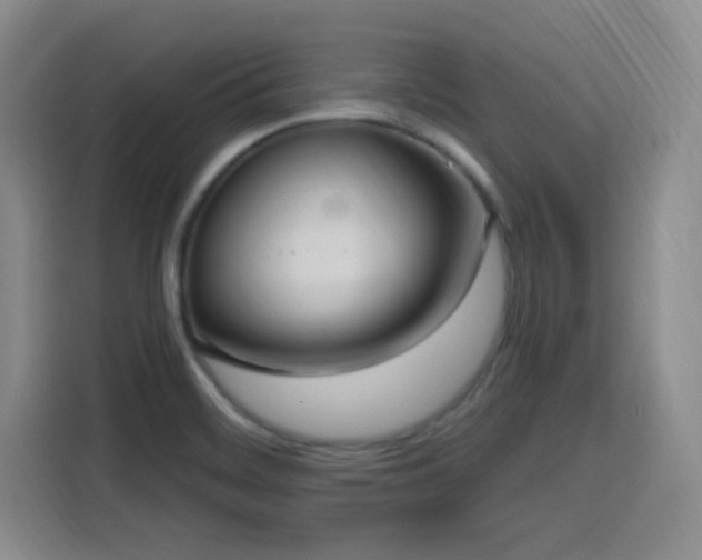 X0000116151468200911231321