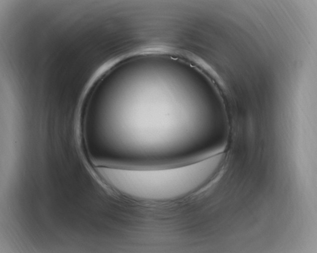 X0000116151469200911231321