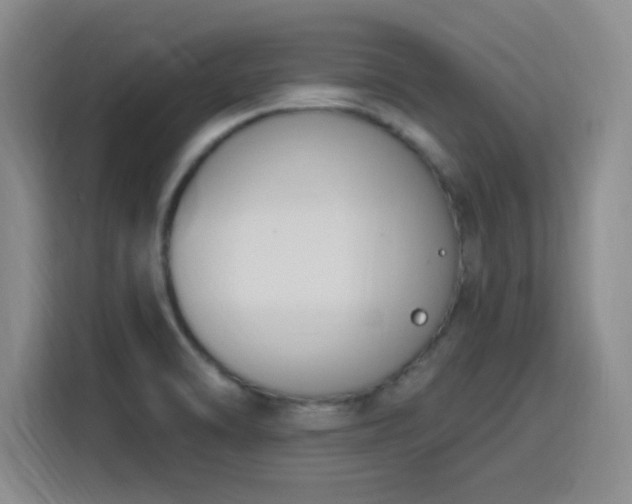 X0000116151470200911231321