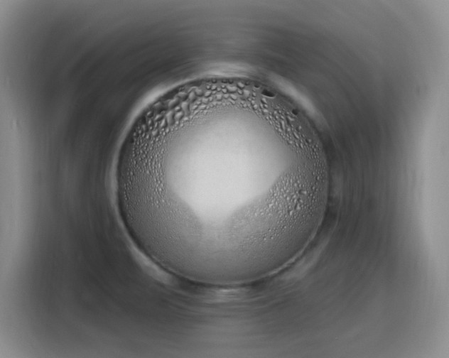 X0000116151471200911231321