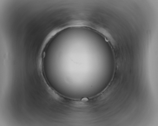 X0000116151472200911231321