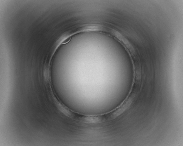 X0000116151473200911231321