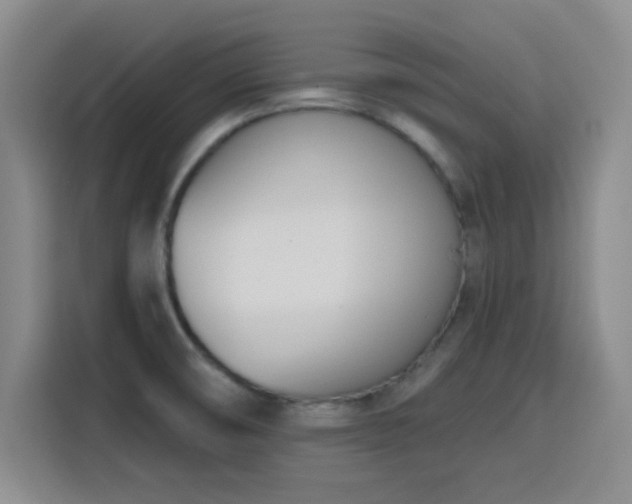 X0000116151474200911231321