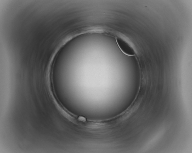 X0000116151475200911231321