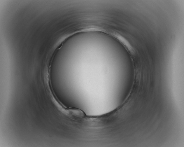 X0000116151476200911231321