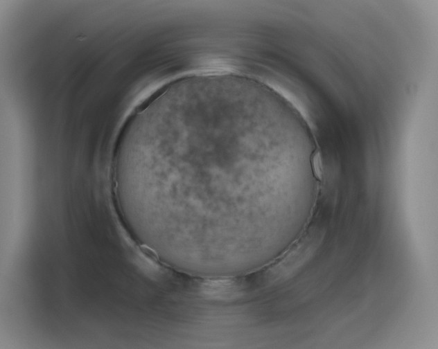 X0000116151477200911231321