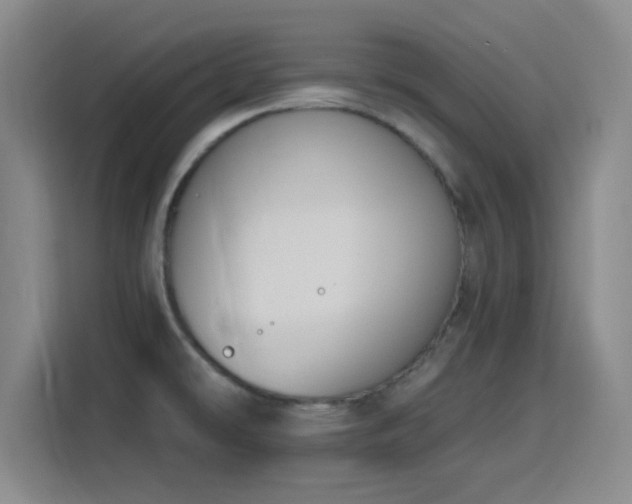 X0000116151478200911231321