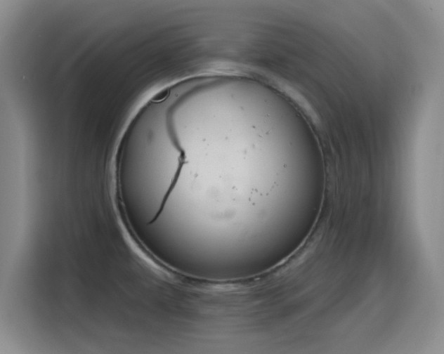 X0000116151479200911231321