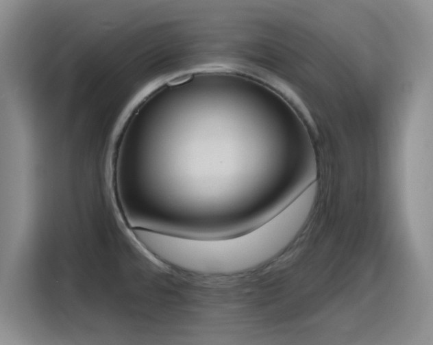 X0000116151480200911231321