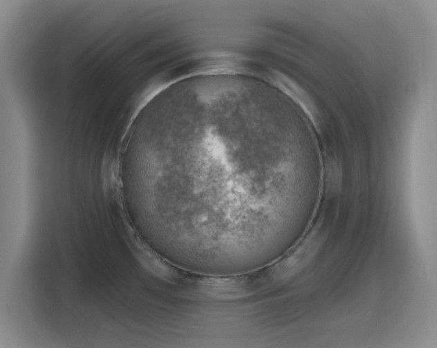 X0000116151481200911231321