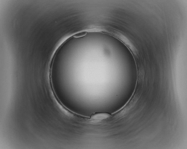 X0000116151484200911231321