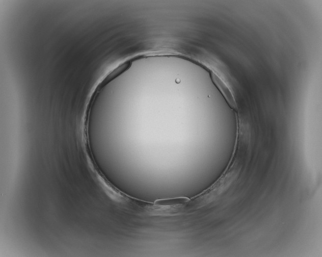 X0000116151485200911231321