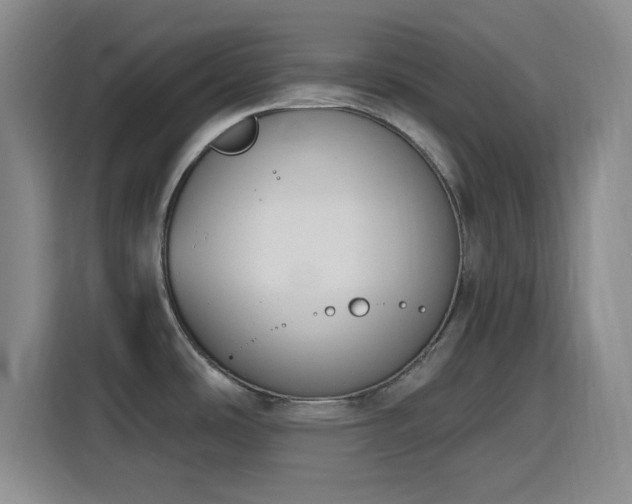 X0000116151486200911231321