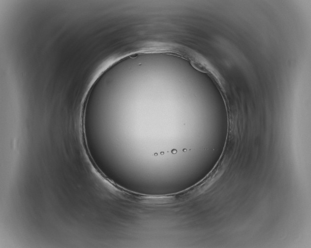 X0000116151487200911231321