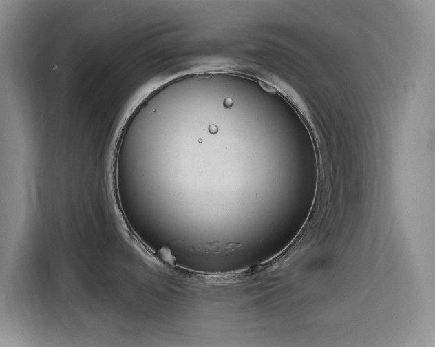 X0000116151488200911231321