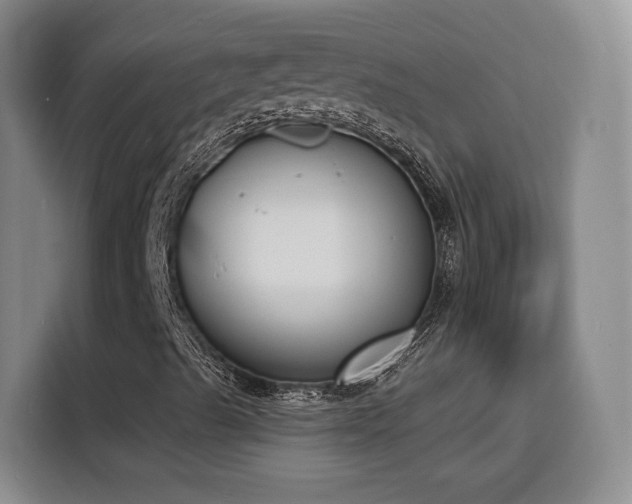 X0000116151489200911231320