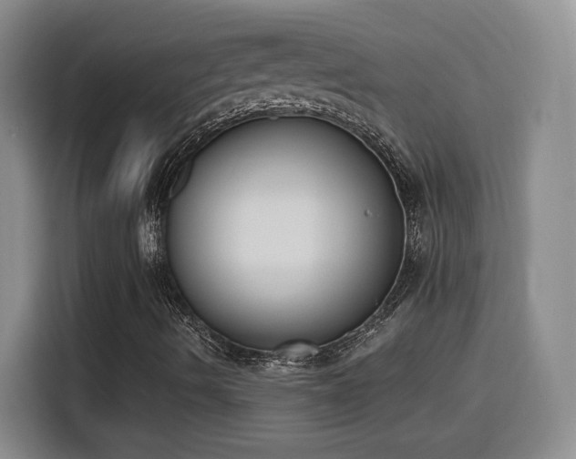 X0000116151490200911231320