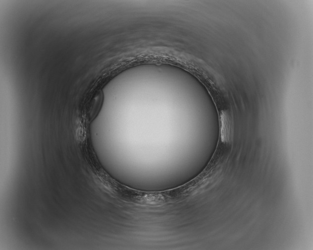 X0000116151491200911231320