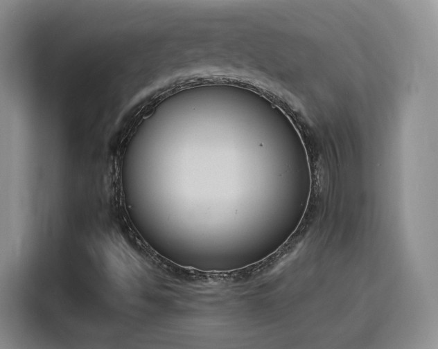 X0000116151494200911231320