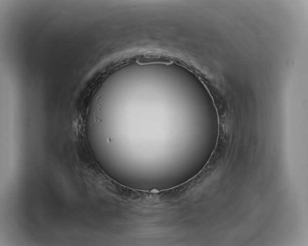 X0000116151495200911231321