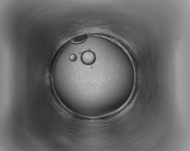 X0000116151497200911231321