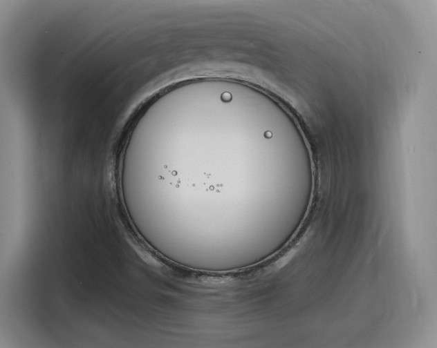 X0000116151498200911231321