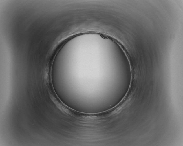 X0000116151499200911231321