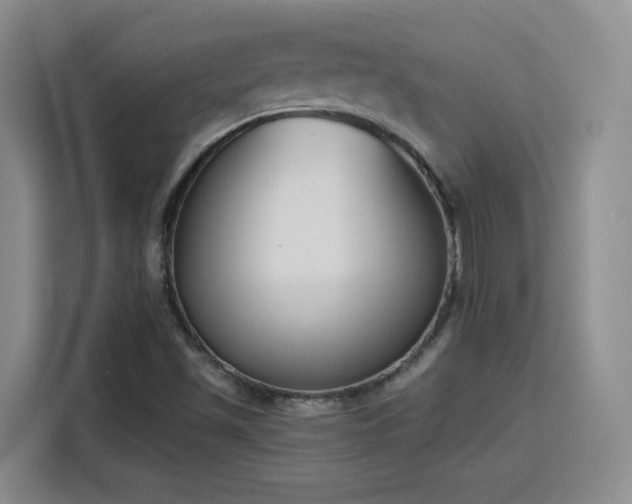 X0000116151501200911231321