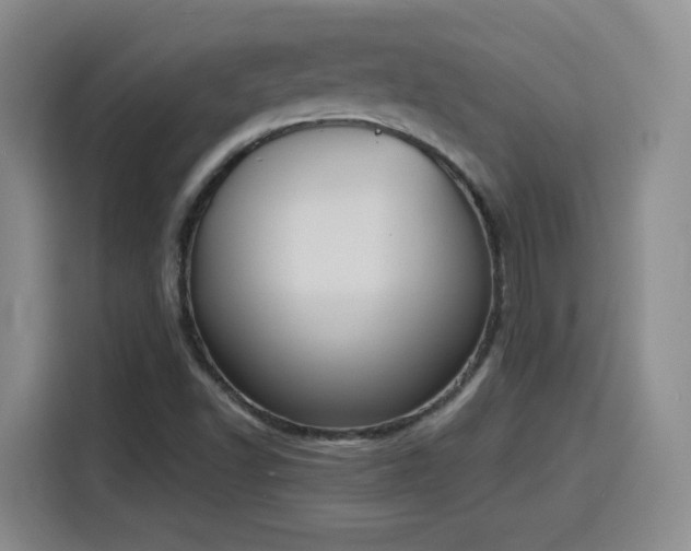 X0000116151502200911231321