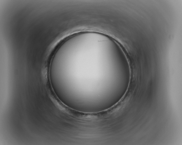 X0000116151503200911231321