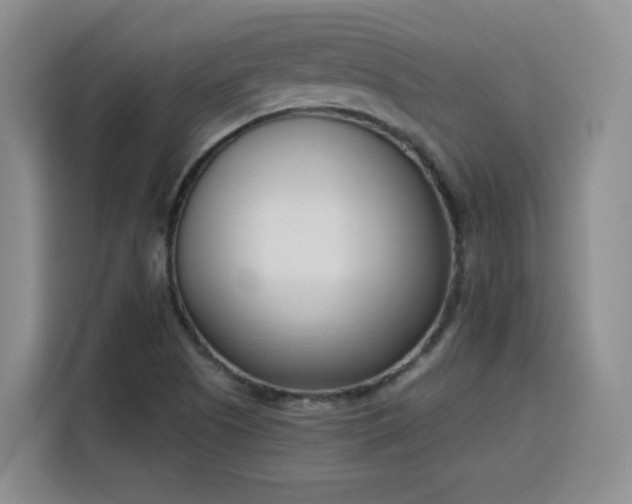 X0000116151505200911231321