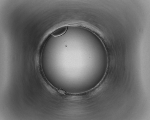 X0000116151506200911231321