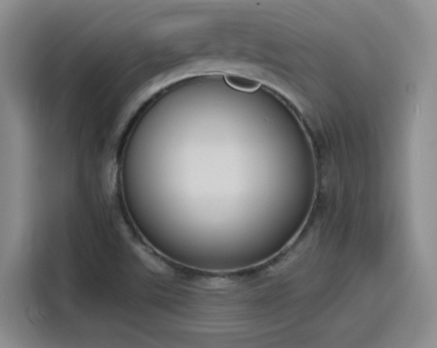 X0000116151507200911231321