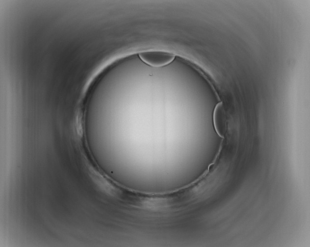 X0000116151510200911231321