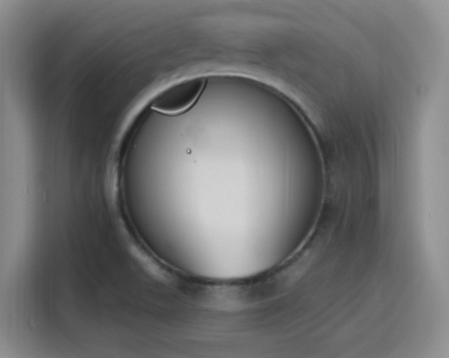 X0000116151511200911231321