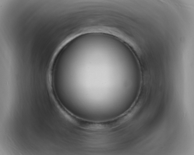 X0000116151517200911231321