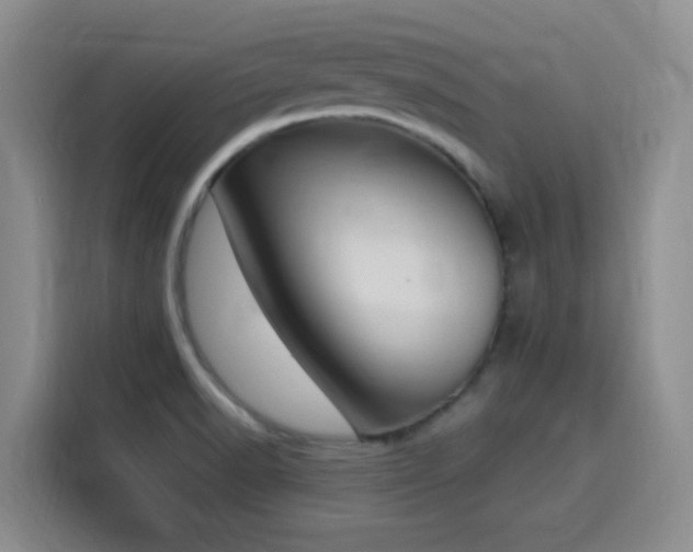 X0000116151518200911231321