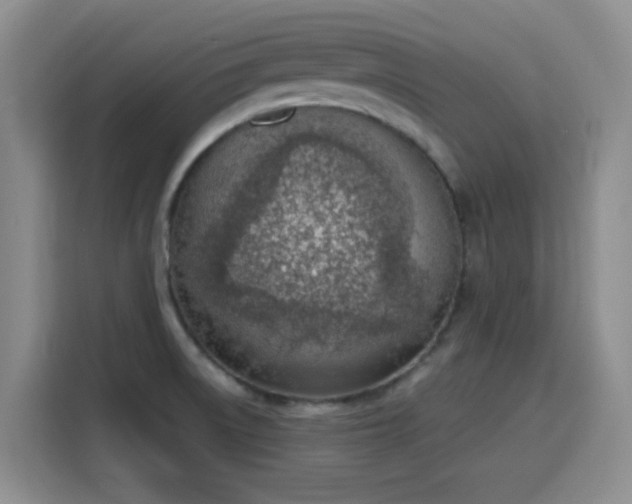 X0000116151522200911231321