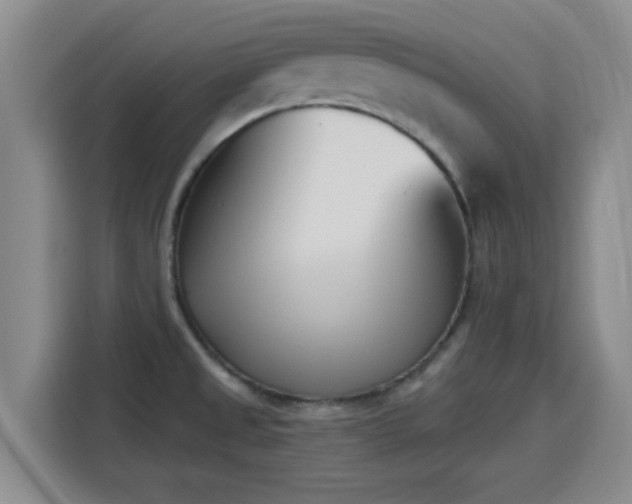 X0000116151525200911231321