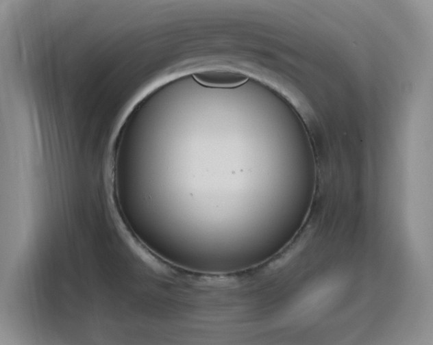 X0000116151526200911231321