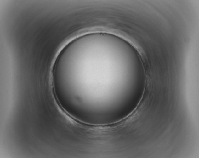 X0000116151527200911231321