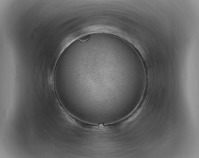 X0000116151529200911231321