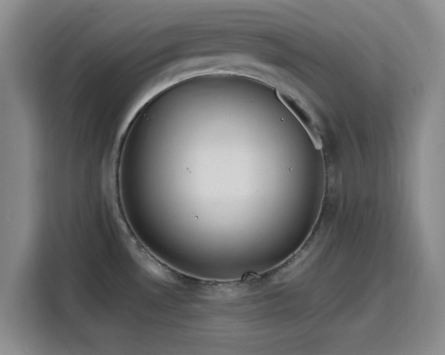 X0000116151530200911231321