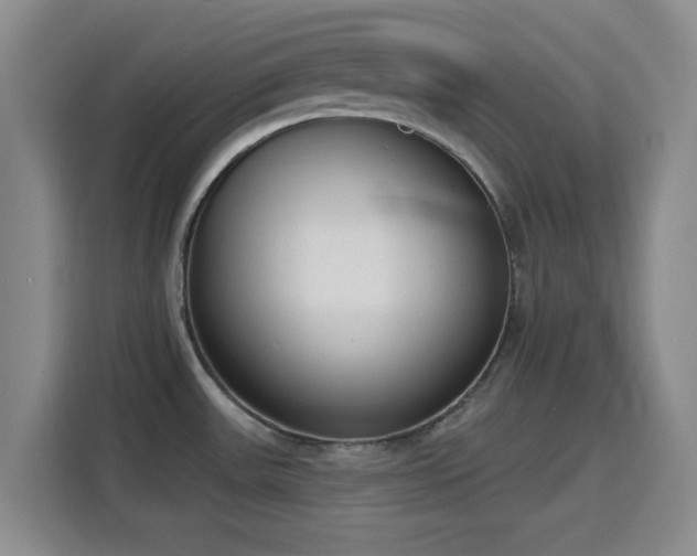 X0000116151531200911231321