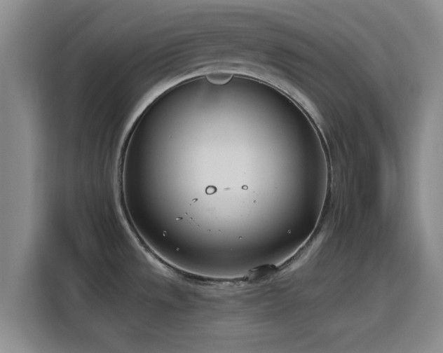 X0000116151533200911231321