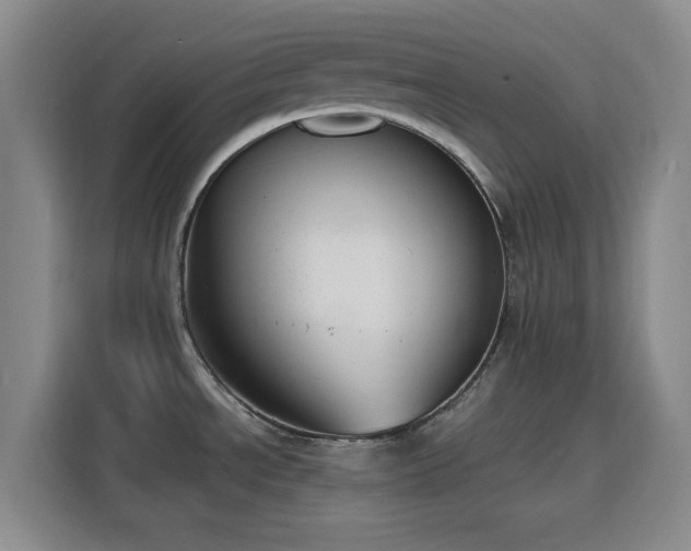 X0000116151534200911231321