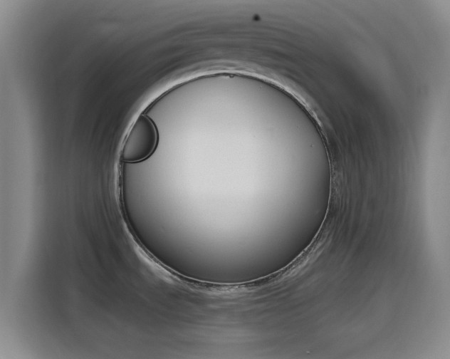 X0000116151535200911231321