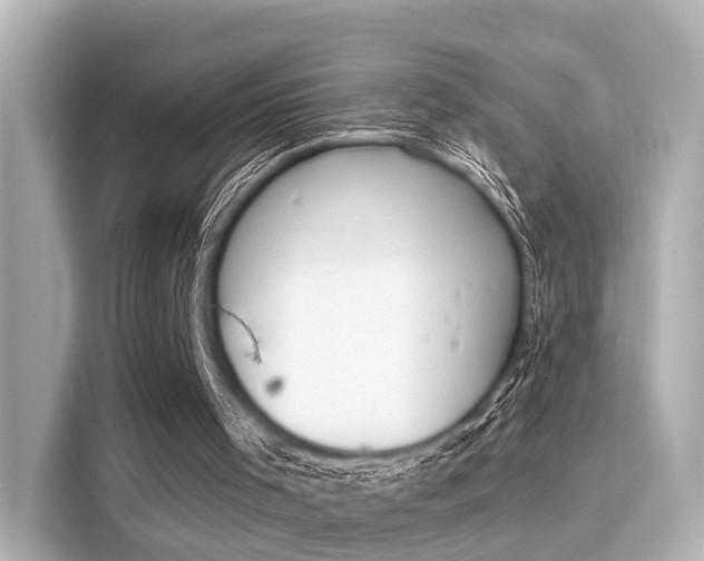 X0000116150001200911301550