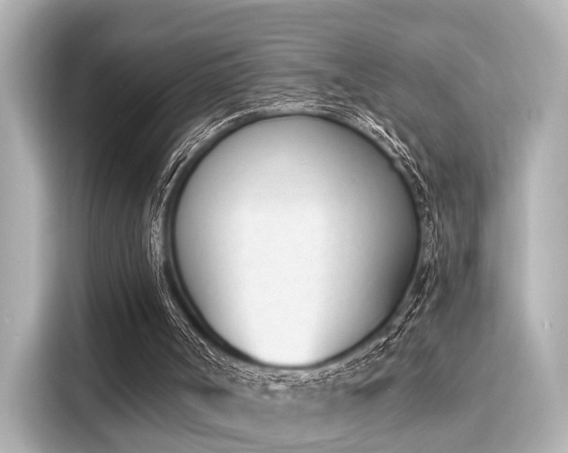 X0000116150002200911301550