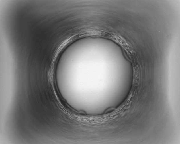 X0000116150003200911301550